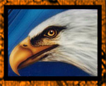 Eagle airbrushed on air dam