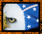 Eagle and flag on half helmet