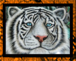 Airbrushed white tiger scene with green tribal flames